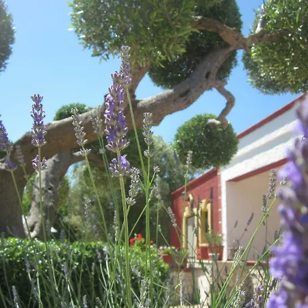 Casa Kikka *