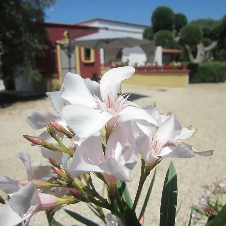 Casa Kikka